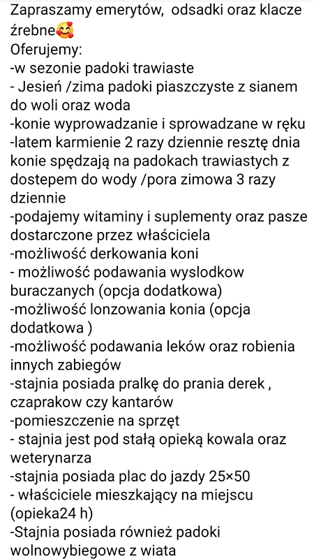 Stajnia Zielony Zakątek - zdjęcie 2