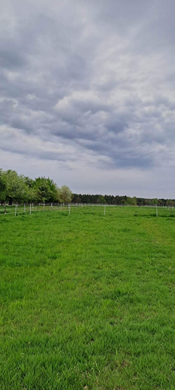 Stajnia Zielony Zakątek - zdjęcie 5