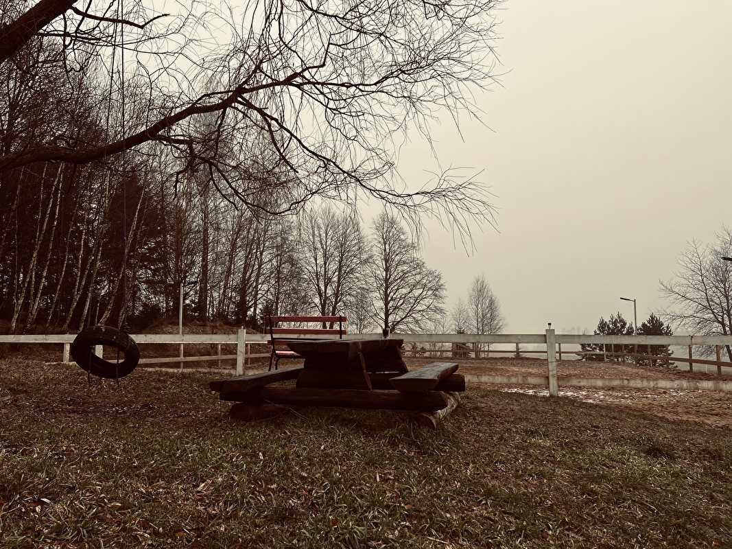 Stajnia Agro - zdjęcie 8