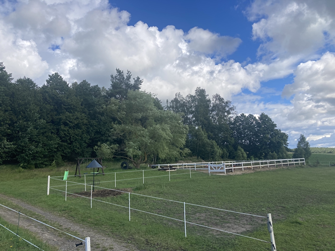 Stajnia Agro - zdjęcie 11