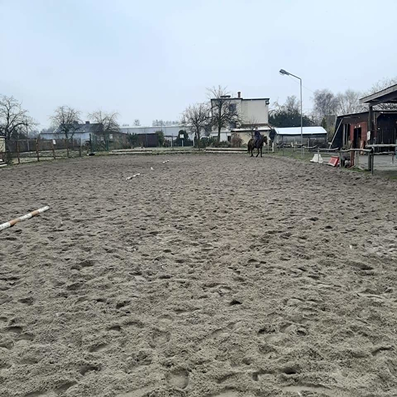 Ponny Hoff Bytom - zdjęcie 4