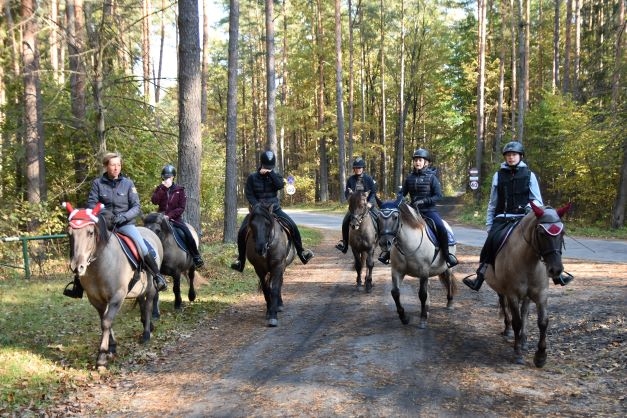 Popielno Koniki Polskie - zdjęcie 3
