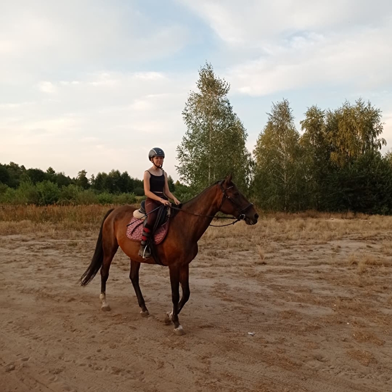 Stajnia Oaza - zdjęcie 2