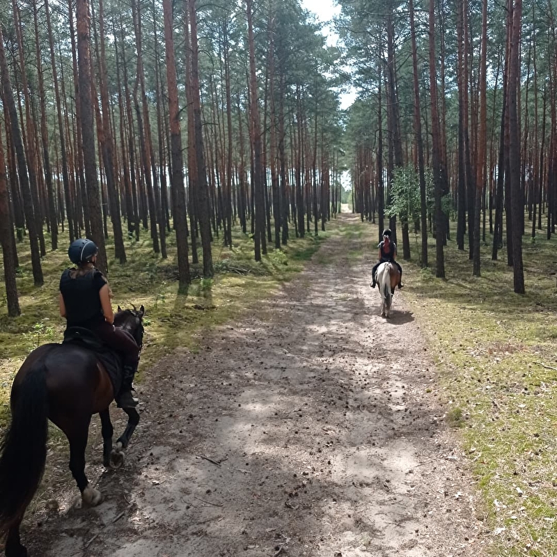 Stajnia Oaza - zdjęcie 5