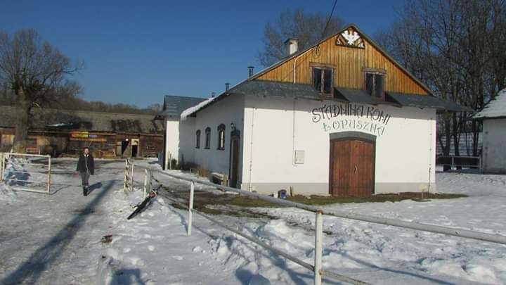 Stadnina koni Łopuszna - zdjęcie 1