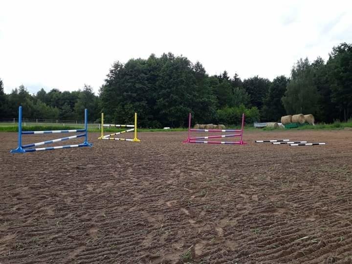 Stajnia Daylight Samolubie - zdjęcie 7