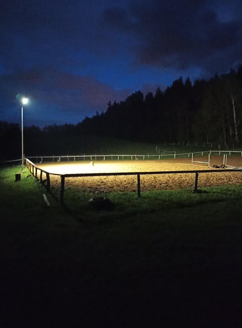 Stajnia Jutrzenka - zdjęcie 1