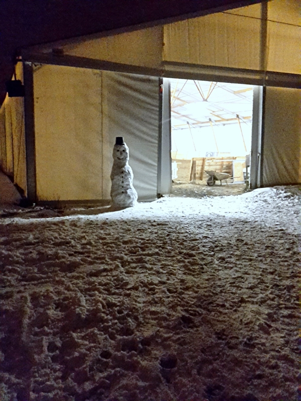 ORK i LKJ SOLEC w Bieruniu - zdjęcie 1