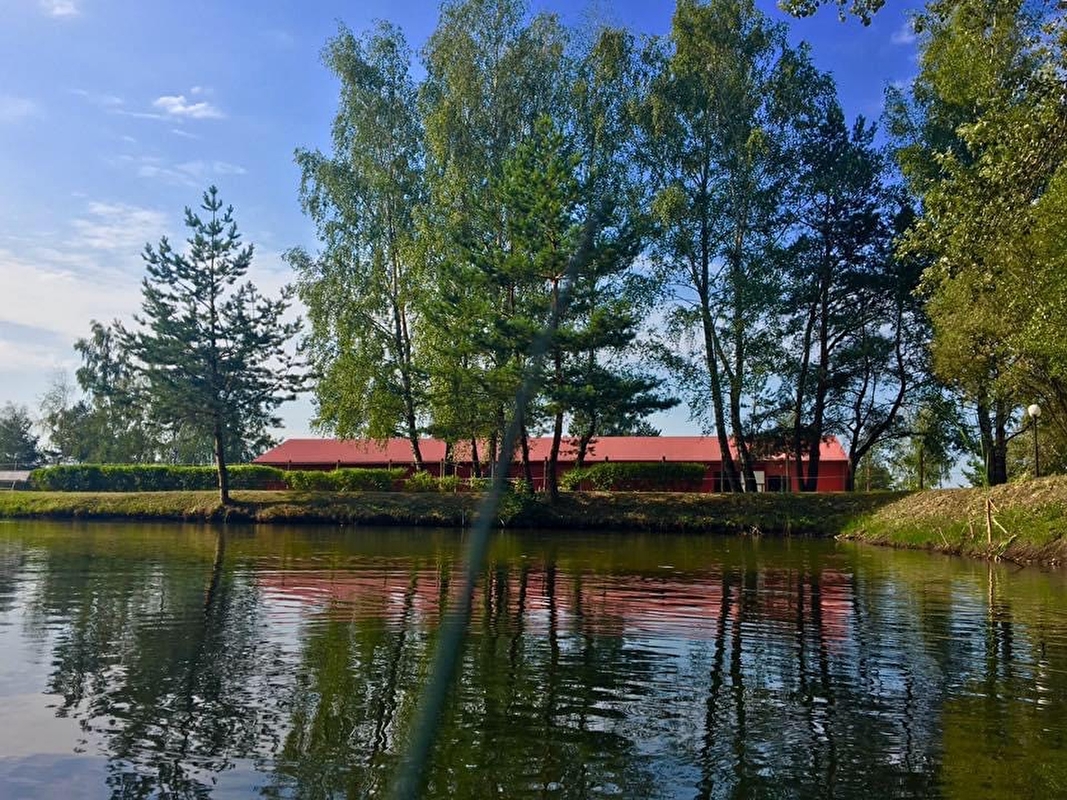 Stajnia Piekoszów - zdjęcie 5