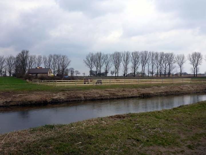 Ranczo Włóczykija - zdjęcie 4