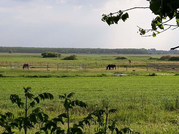 Ranczo Włóczykija - zdjęcie 6