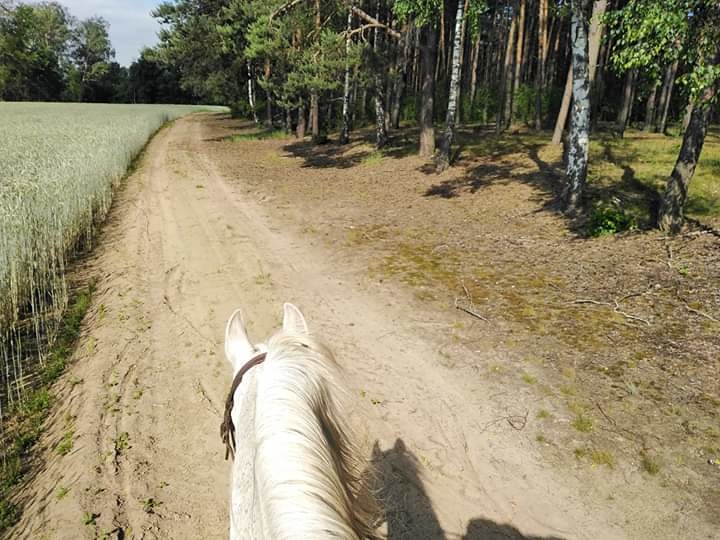 Ranczo Włóczykija - zdjęcie 7