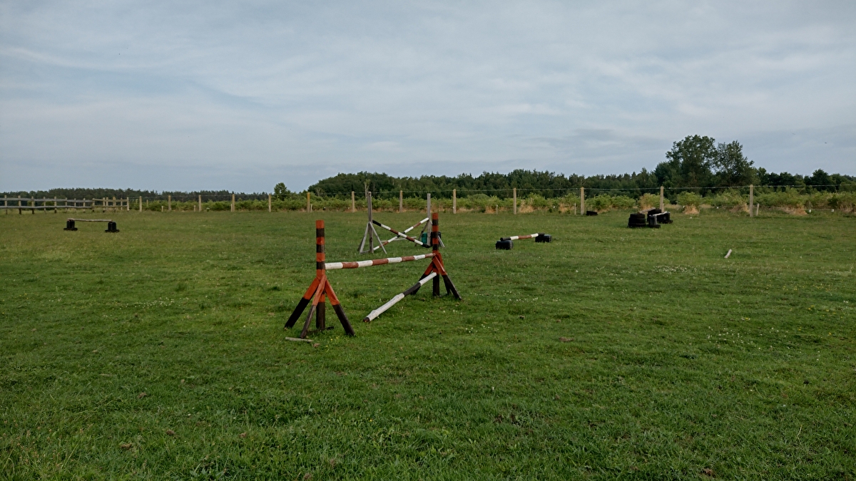 Stajnia ELGAR Redlino - zdjęcie 8