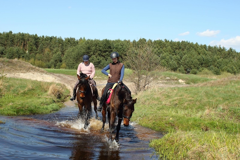 Pensjonat dla koni Stajni Vital Horse! padokowanie 24h - zdjęcie 13