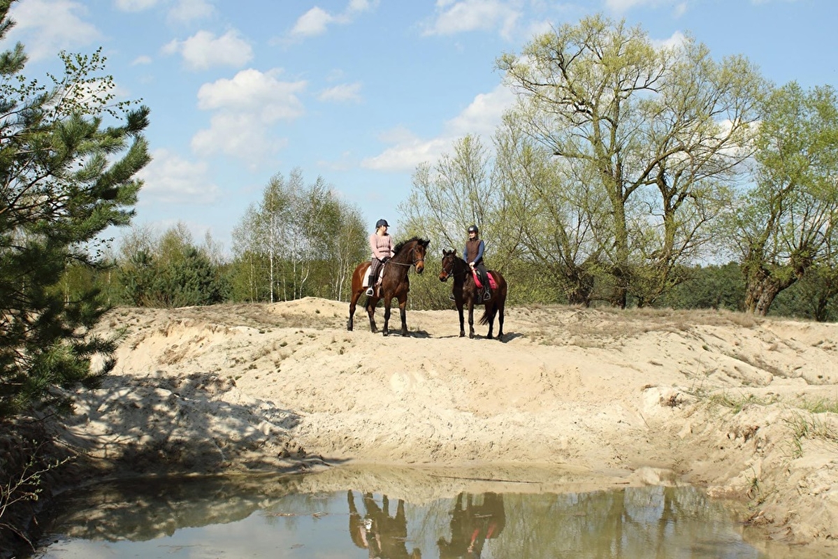 Pensjonat dla koni Stajni Vital Horse! padokowanie 24h - zdjęcie 16