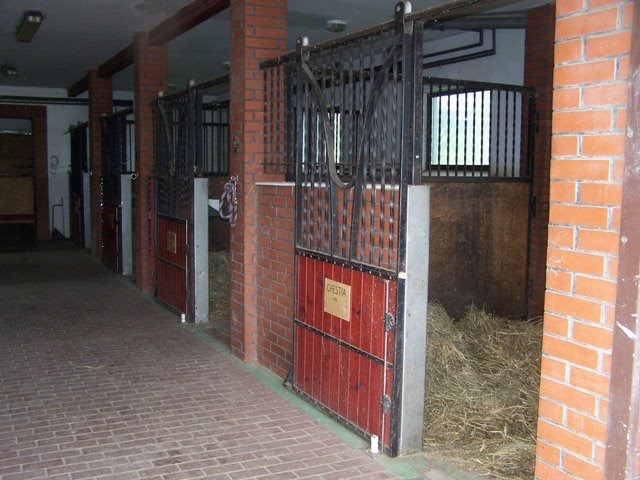 Stajnia Bursztynowa - zdjęcie 2