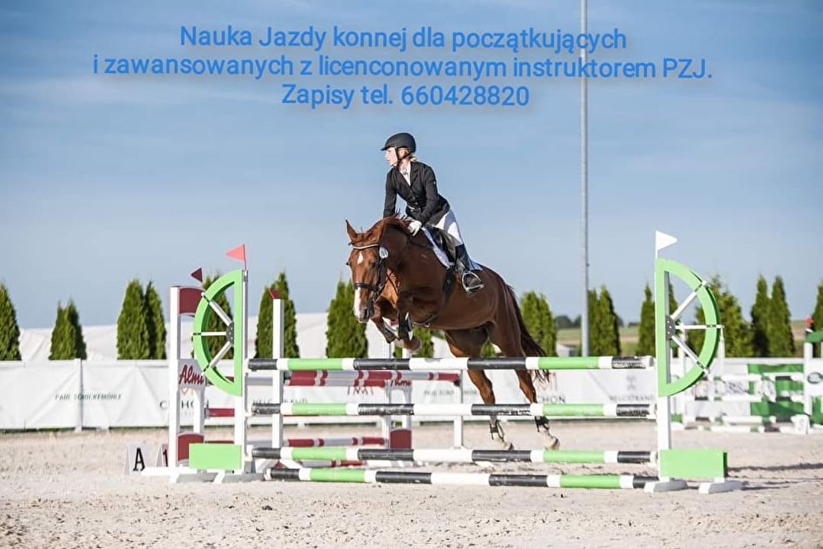 Stadnina Koni Feniks Bogna Hupa - zdjęcie 2