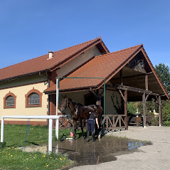 Stajnia COGITO - zdjęcie 5