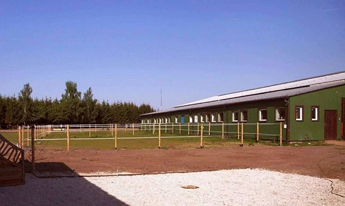 Pensjonat dla koni Szymanowo k. ŚREMU - zdjęcie 8