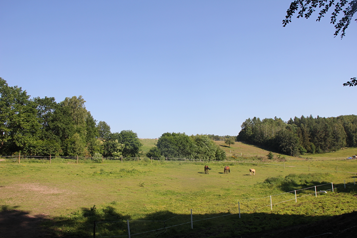Stajnia w Zbychowie - zdjęcie 1