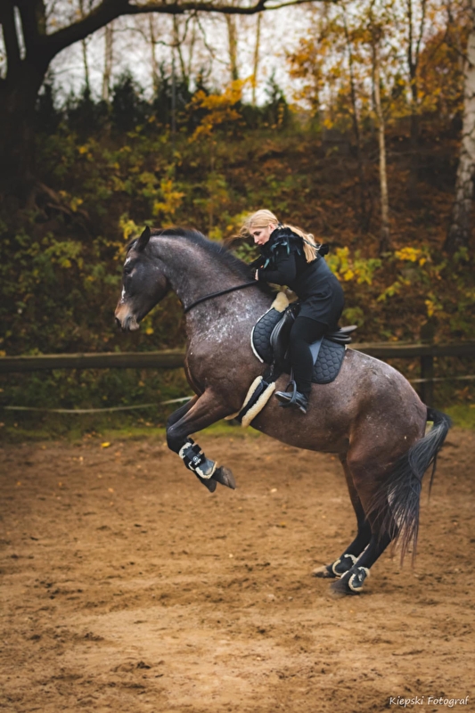 KJ Dragon - zdjęcie 3