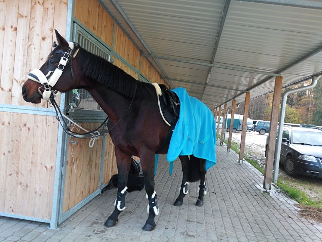 KJ Dragon - zdjęcie 14
