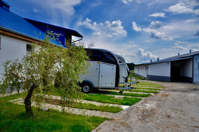 Stajnia Sportowa Błażejewski- Klub Sportowy Centaurus - zdjęcie 4