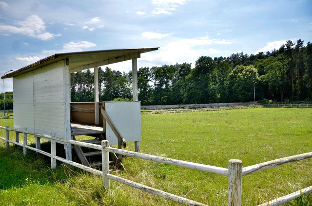 Stajnia Sportowa Błażejewski- Klub Sportowy Centaurus - zdjęcie 9