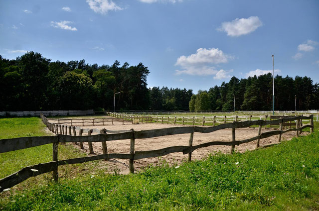Stajnia Sportowa Błażejewski- Klub Sportowy Centaurus - zdjęcie 12