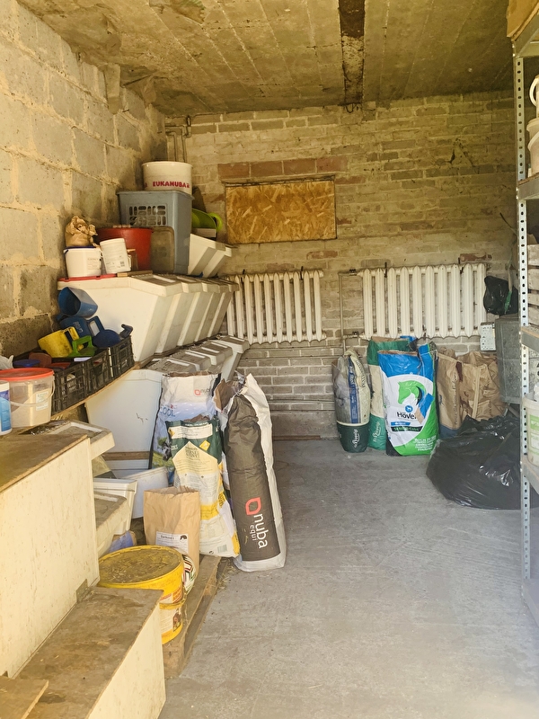 Stajnia pod Świerkami Powiat Wołomiński - zdjęcie 2