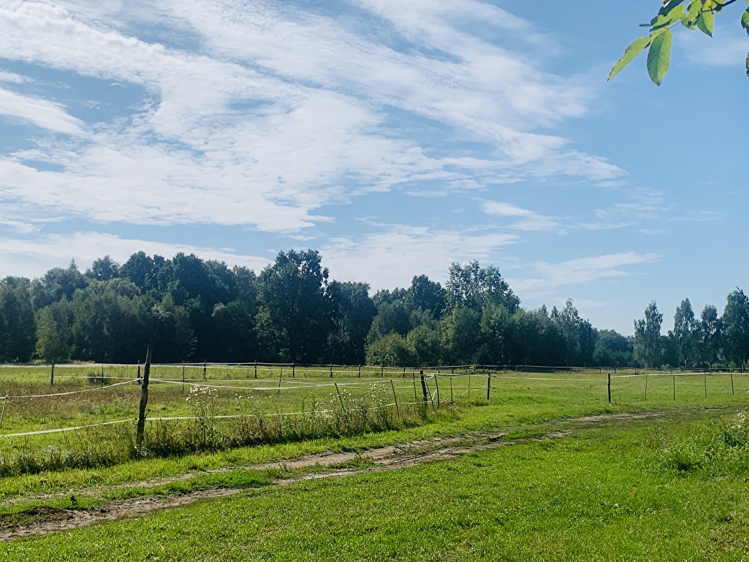 Stajnia pod Świerkami Powiat Wołomiński - zdjęcie 6