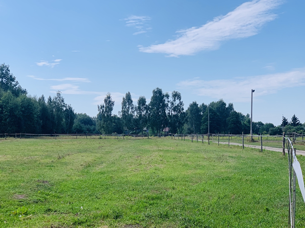 Stajnia pod Świerkami Powiat Wołomiński - zdjęcie 9