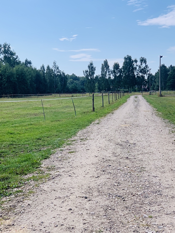 Stajnia pod Świerkami Powiat Wołomiński - zdjęcie 10