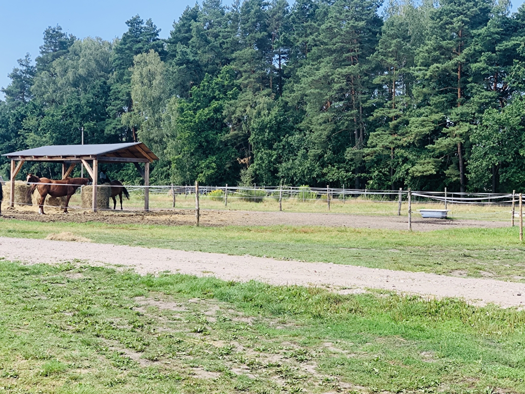 Stajnia pod Świerkami Powiat Wołomiński - zdjęcie 11