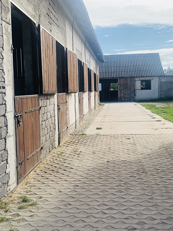 Stajnia pod Świerkami Powiat Wołomiński - zdjęcie 12