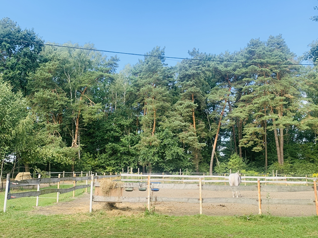 Stajnia pod Świerkami Powiat Wołomiński - zdjęcie 14