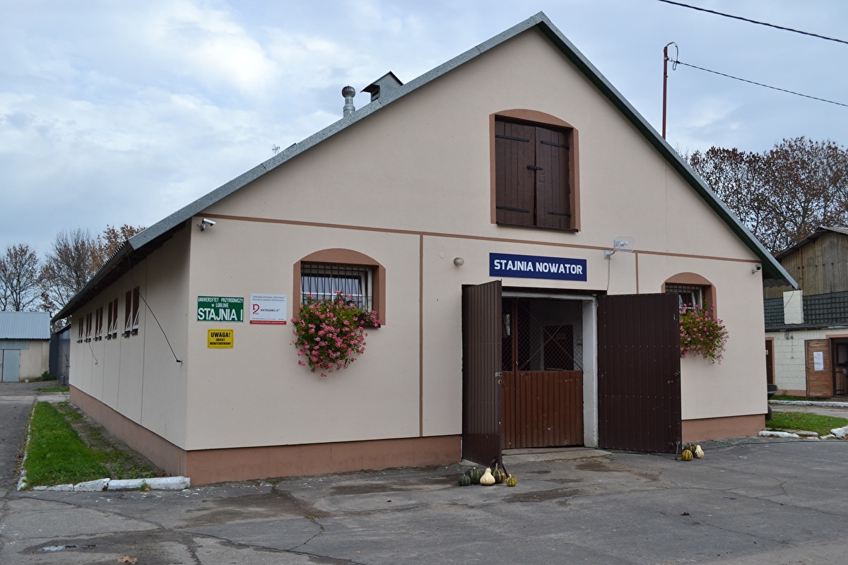 Ośrodek Jeździecki Felin - zdjęcie 1