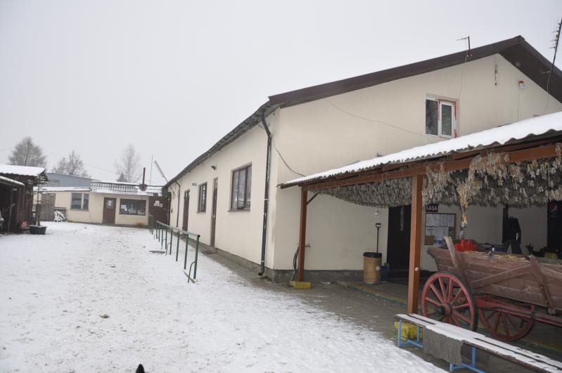 Farma Pony woj. mazowieckie - zdjęcie 12