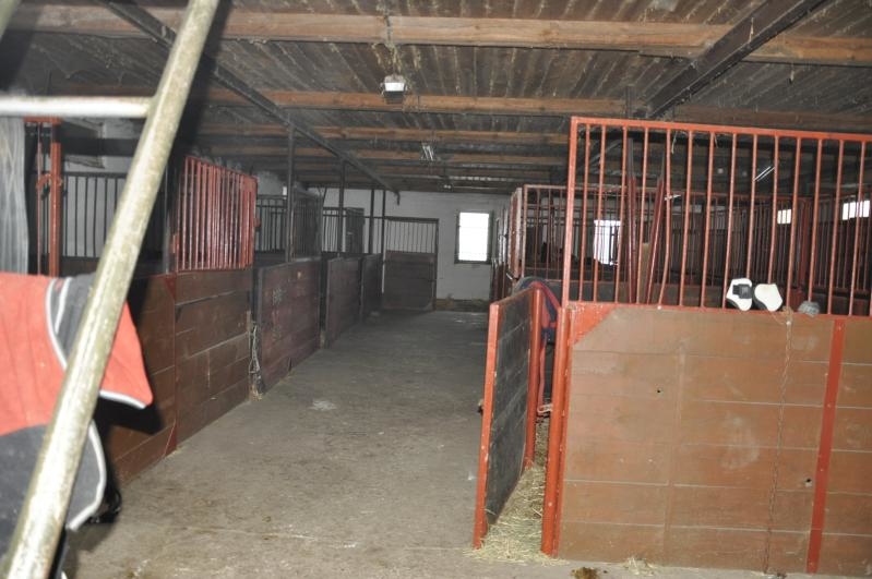 Farma Pony woj. mazowieckie - zdjęcie 13