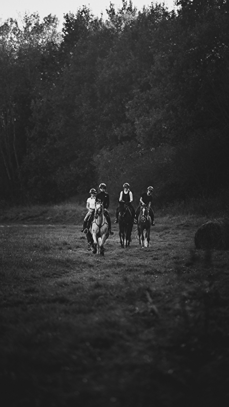 Baranowscy Horses - zdjęcie 2