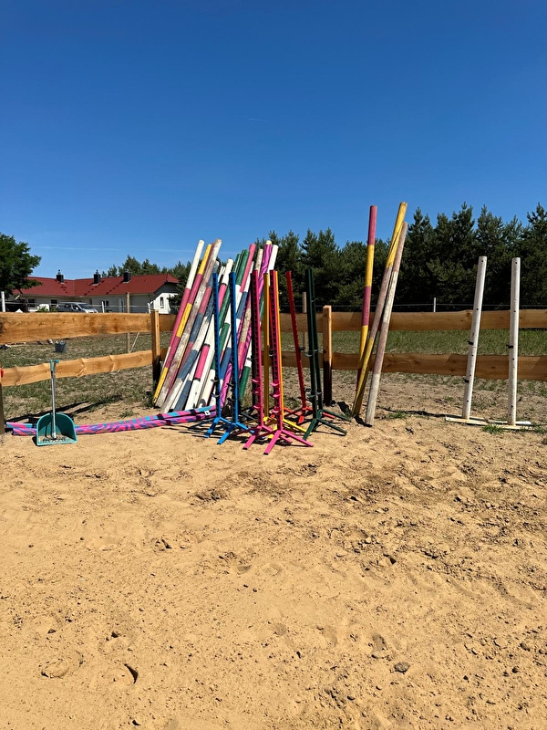 Baranowscy Horses - zdjęcie 10