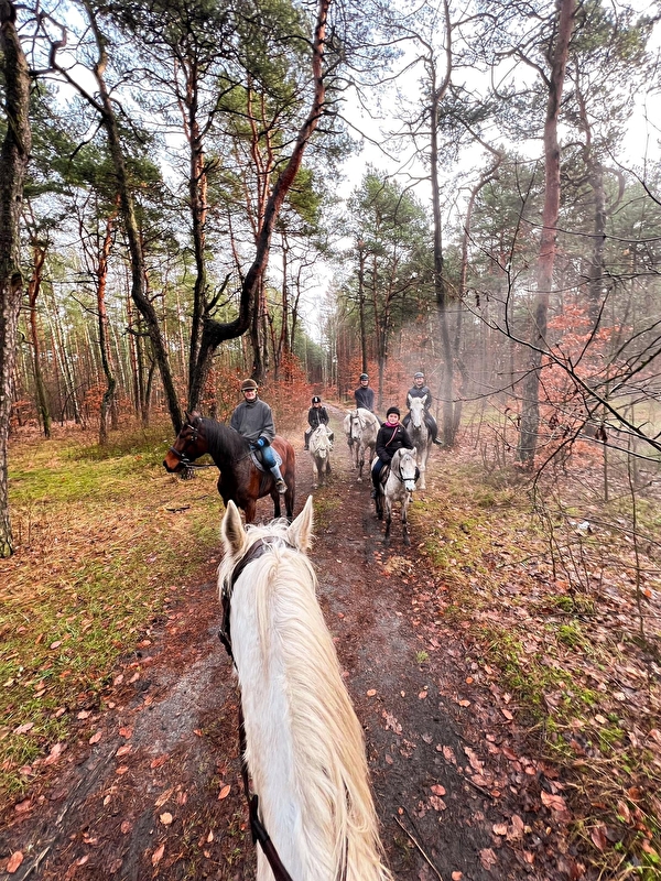 Stajnia na Jurze - zdjęcie 17