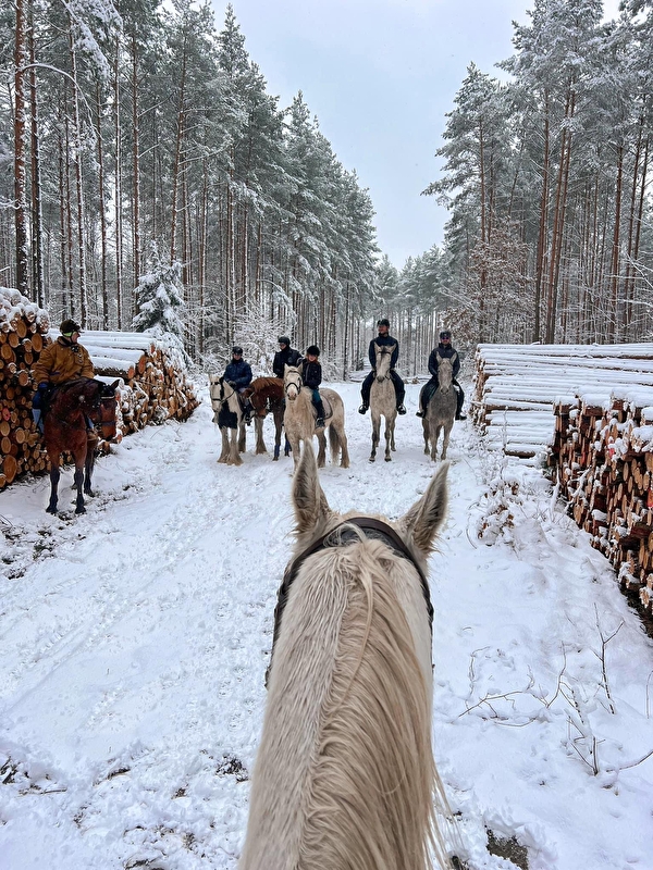 Stajnia na Jurze - zdjęcie 18