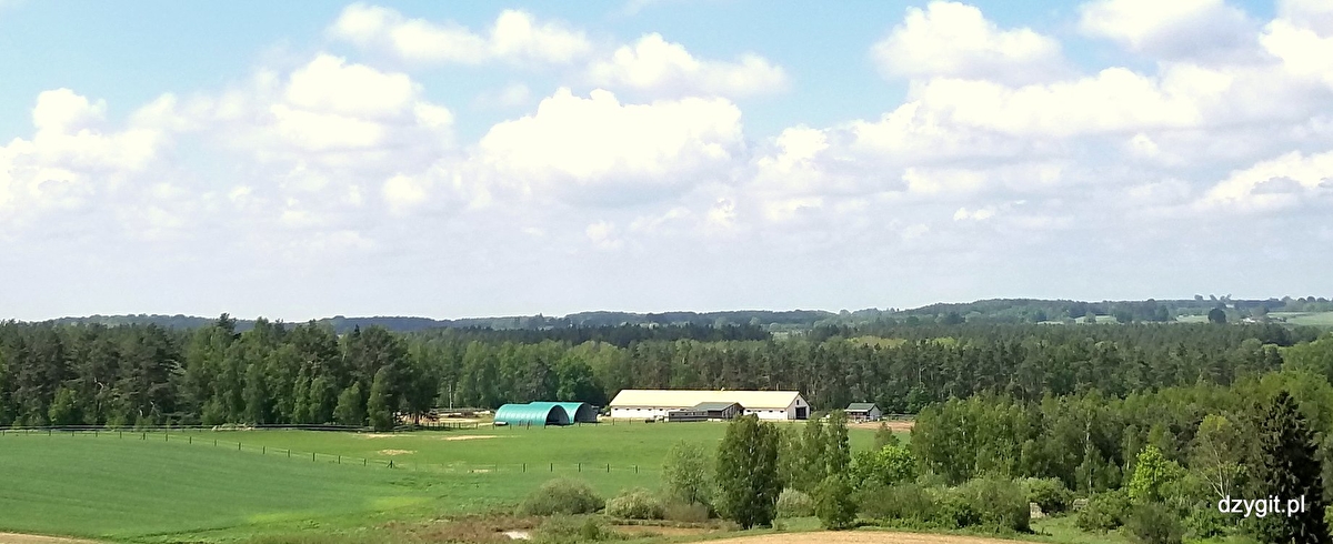 Stajnia DŻYGIT - zdjęcie 1