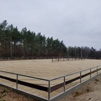 Stajnia DŻYGIT - zdjęcie 3