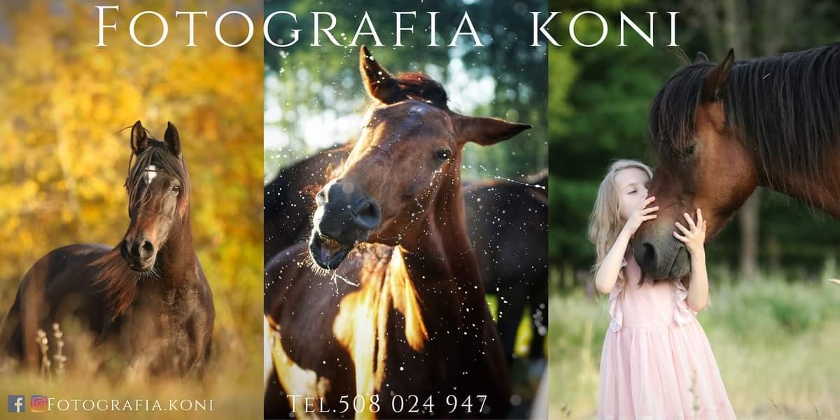 Huculskie Ranczo Maja - zdjęcie 9