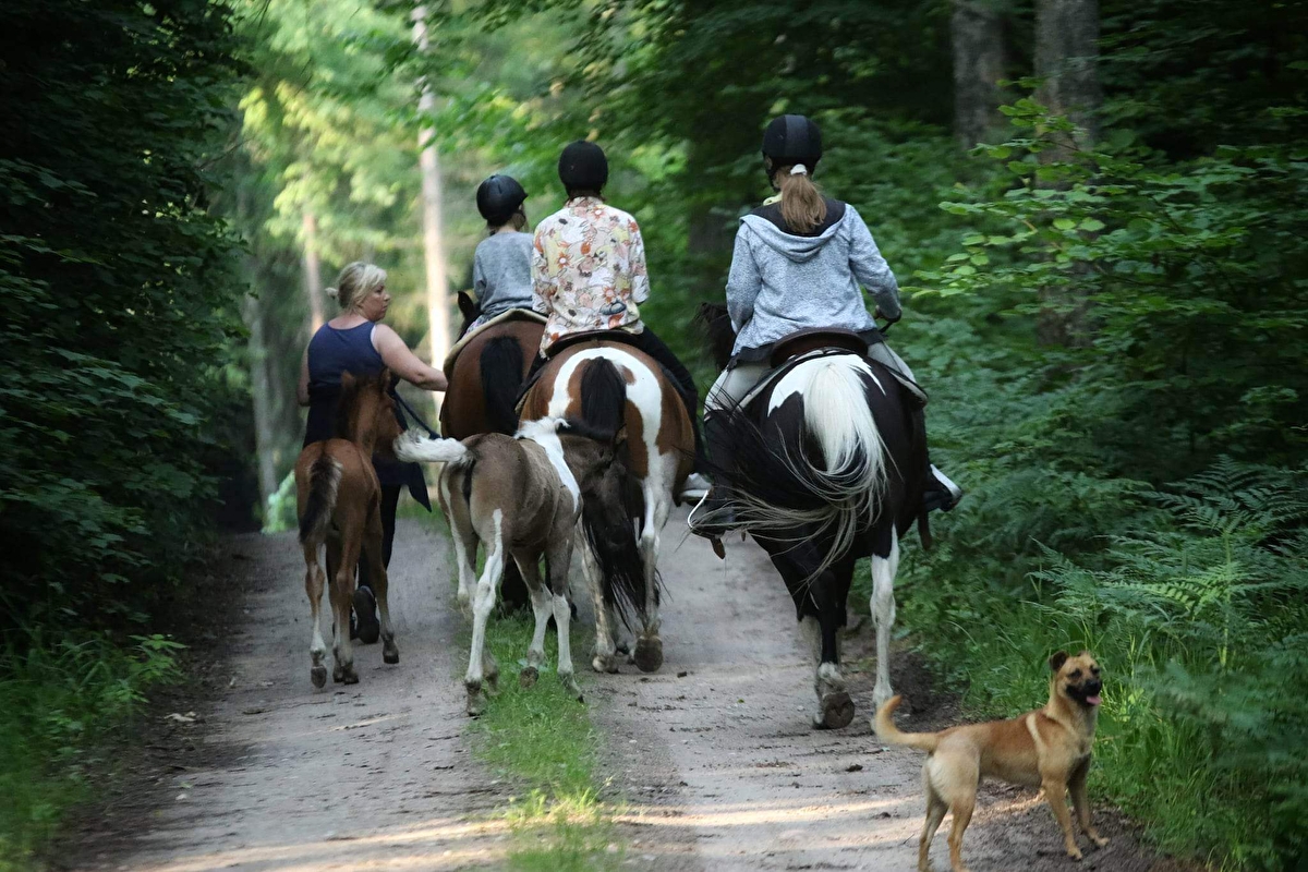 Huculskie Ranczo Maja - zdjęcie 14