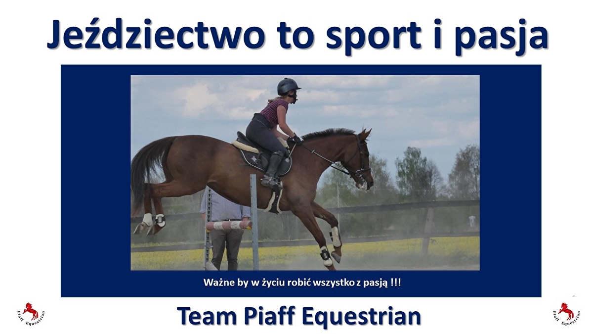 Piaff Equestrian - zdjęcie 4