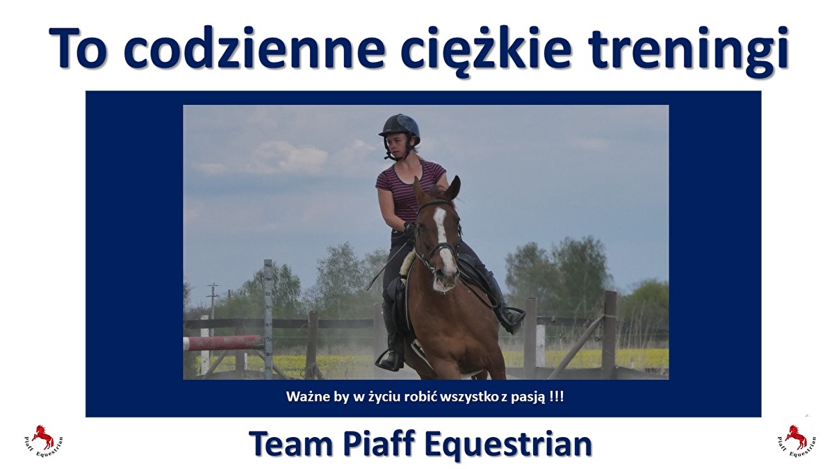 Piaff Equestrian - zdjęcie 5