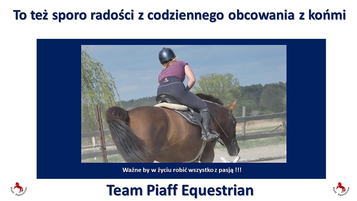 Piaff Equestrian - zdjęcie 6